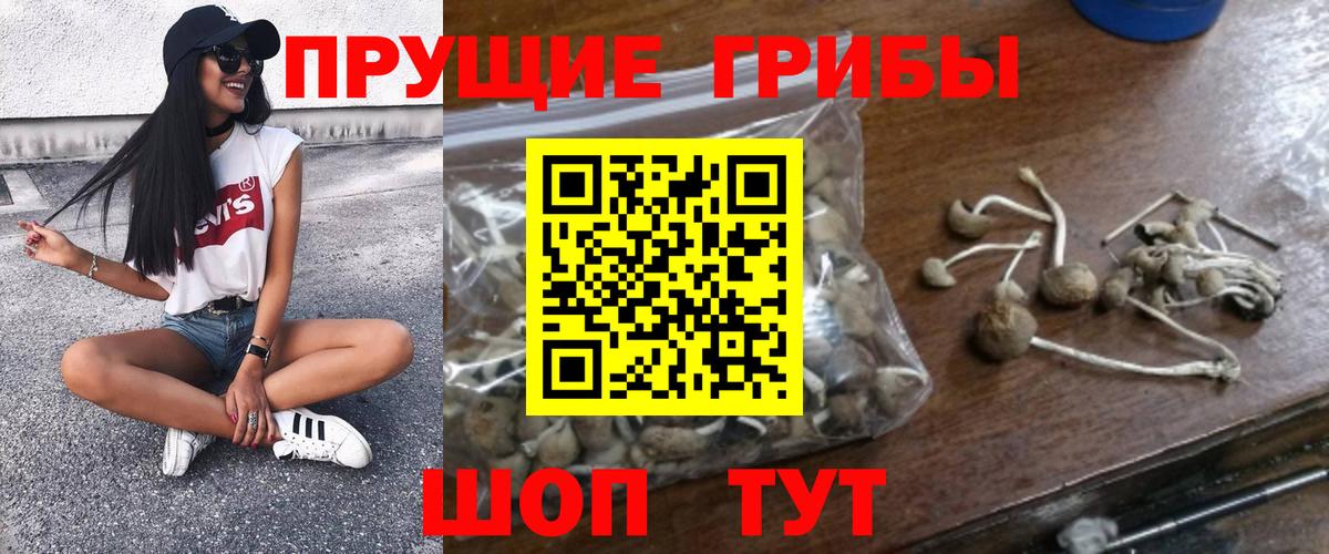 Галлюциногенные грибы ЛСД Амурск
